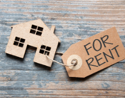 Half a million tenants have pet requests refused – claim.